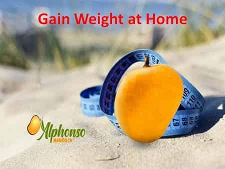 Mango Gain Weight at Home - AlphonsoMango.in