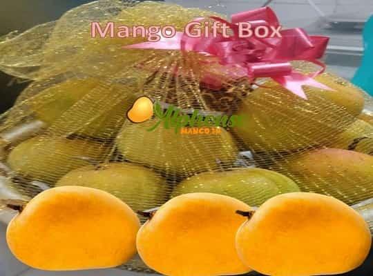 Mango Gift Box - The Perfect Gift - AlphonsoMango.in