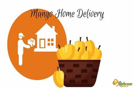 Mango Home Delivery - AlphonsoMango.in