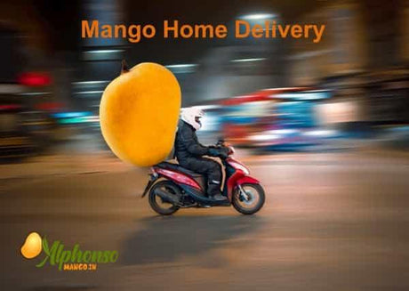 Mango Home Delivery: Sweetness Delivered to You - AlphonsoMango.in