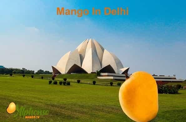 Mango in Delhi: Order Fresh and Delicious Online - AlphonsoMango.in
