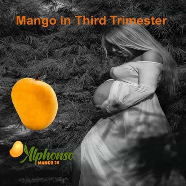 Mango in Third Trimester of Pregnancy