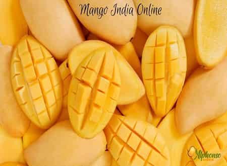 Mango India Online - AlphonsoMango.in