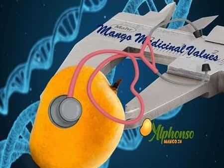 Mango Medicinal Values - AlphonsoMango.in