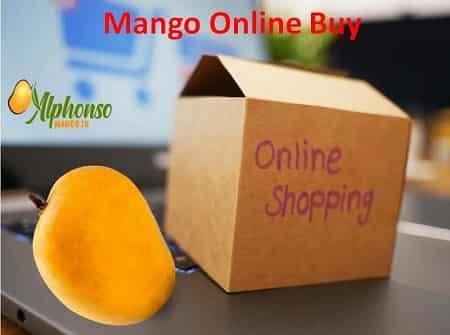 Mango Online Buy - AlphonsoMango.in