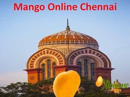 Mango Online Chennai | Mangoes Online Chennai - AlphonsoMango.in