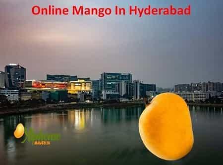 Mangoes Online Delivery In Hyderabad - AlphonsoMango.in