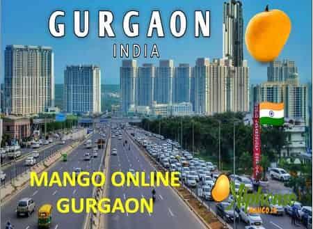 Mango Online Gurgaon - AlphonsoMango.in