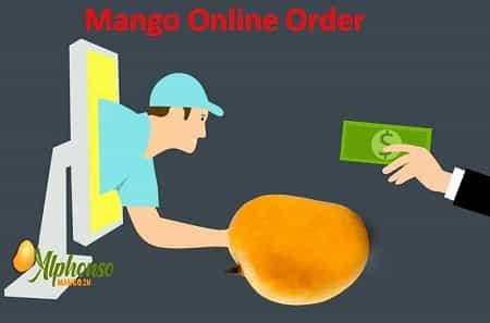 Mango Online Order - AlphonsoMango.in