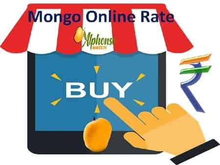 Mango Online Rate - AlphonsoMango.in