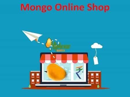 Mango Online Shop - Mango Shop Online - AlphonsoMango.in