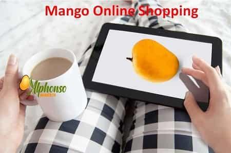 Mango Online Shopping - AlphonsoMango.in