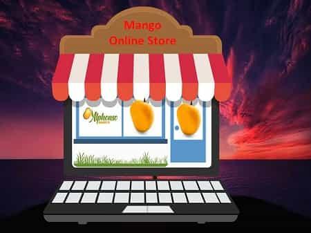 Mango Online Store Mango & Dry Fruit Shop - AlphonsoMango.in