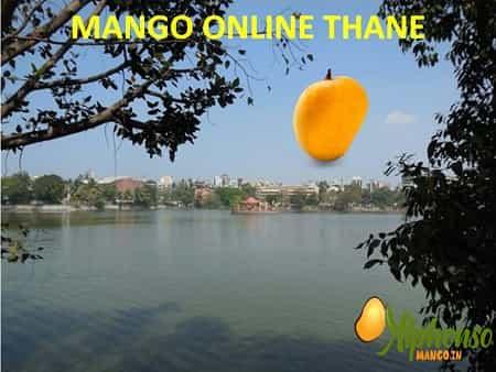 Mango Online Thane - AlphonsoMango.in