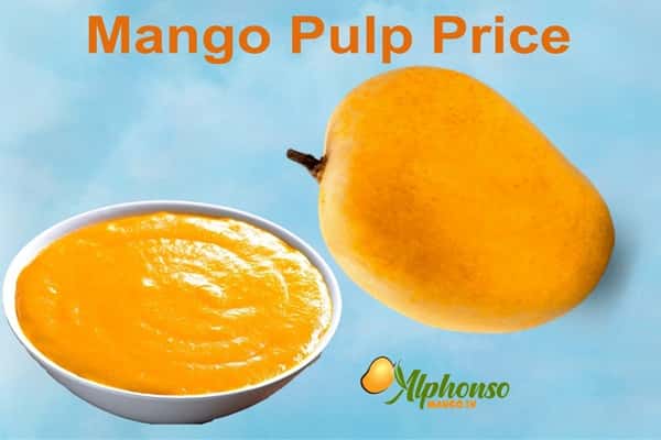 Mango Pulp Price - AlphonsoMango.in