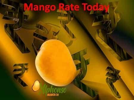 Mango Rate Today - AlphonsoMango.in