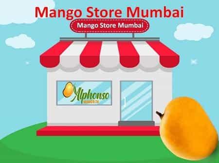 Mango Store Mumbai - AlphonsoMango.in