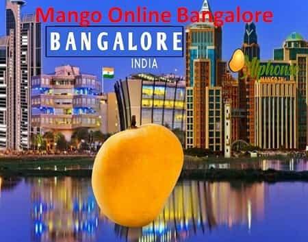 Mangoes Online Bangalore - AlphonsoMango.in