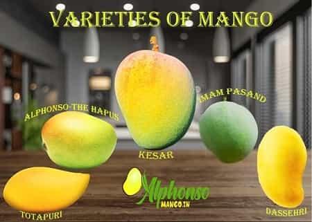 Mangos Know More about it!! - AlphonsoMango.in