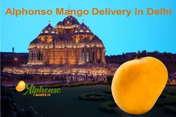 Next Day Alphonso Mango Delivery in Delhi - AlphonsoMango.in