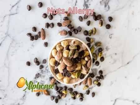 Nut Allergies - AlphonsoMango.in