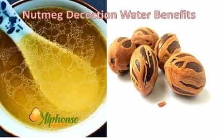 Nutmeg Decoction Water for health - AlphonsoMango.in
