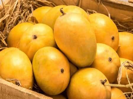 Nutrition facts about mangoes | Mango for Weight Gain - AlphonsoMango.in