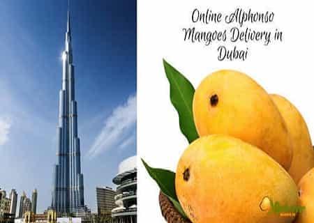Online Alphonso Mangoes Delivery In Dubai - AlphonsoMango.in