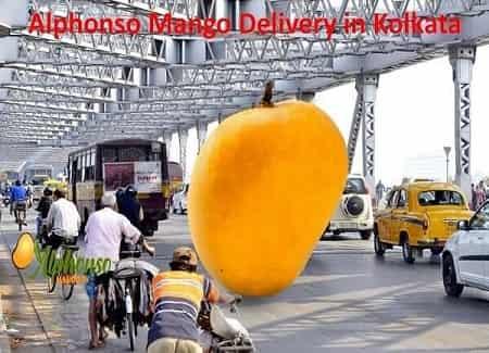Online Mango Delivery in Kolkata - AlphonsoMango.in