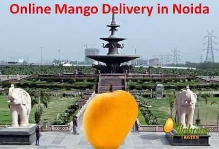 Online Mango Delivery in Noida - AlphonsoMango.in