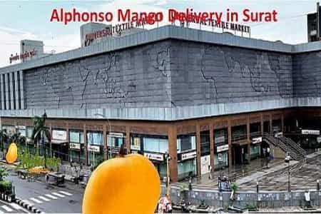 Online Mango Delivery in Surat - AlphonsoMango.in