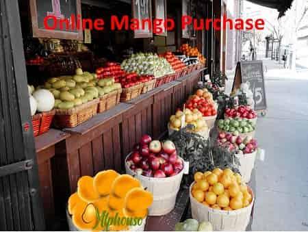 Online Mango Purchase - AlphonsoMango.in