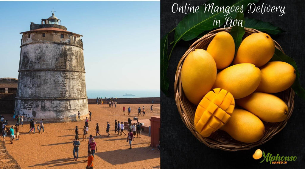 Online Mangoes Delivery In Goa - AlphonsoMango.in