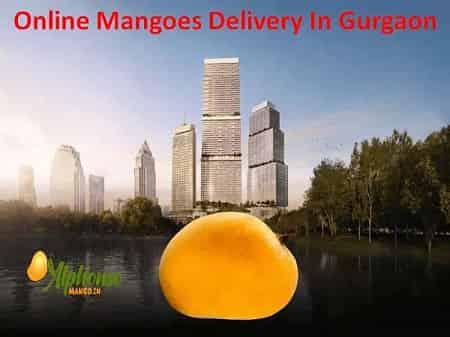 Online Mangoes Delivery In Gurgaon - AlphonsoMango.in