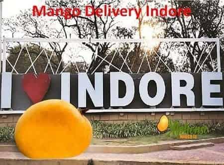 Online Mangoes Delivery In Indore - AlphonsoMango.in
