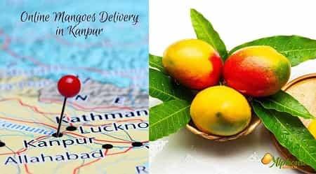 Online Mangoes Delivery In Kanpur - AlphonsoMango.in