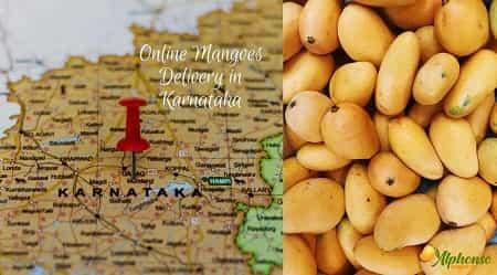 Online Mangoes Delivery In Karnataka - AlphonsoMango.in