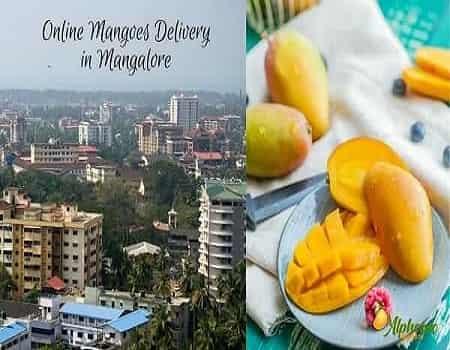 Online Mangoes Delivery In Mangalore - AlphonsoMango.in