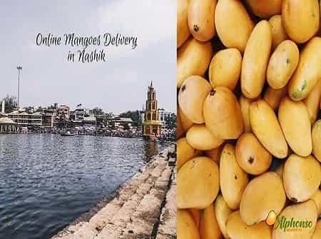 Online Mangoes Delivery In Nashik - AlphonsoMango.in