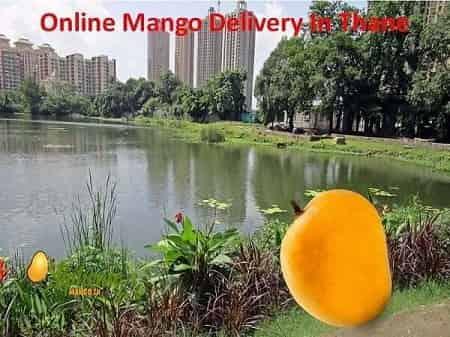 Online Mangoes Delivery In Thane - AlphonsoMango.in