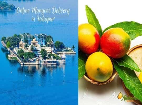 Online Mangoes Delivery In Udaipur - AlphonsoMango.in