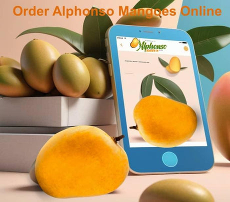 Order Alphonso Mango Online