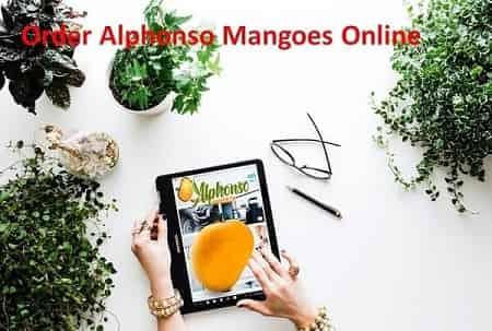 Order Alphonso Mangoes Online - AlphonsoMango.in