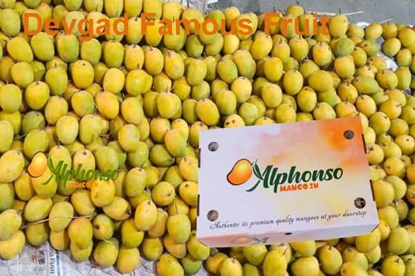 Order Devgad Famous Fruit Online Now - AlphonsoMango.in
