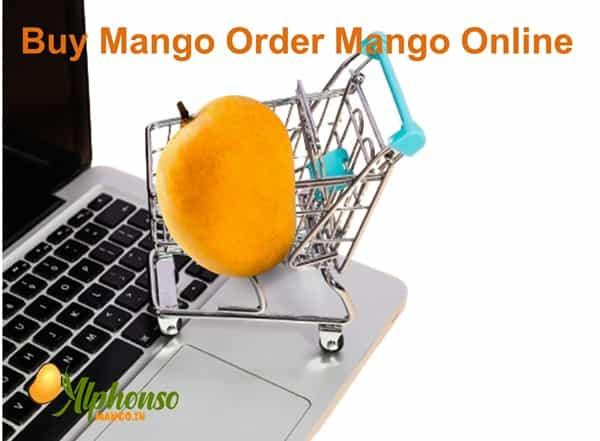 Order Mangoes Online: Get Your Alphonso Mangoes Now - AlphonsoMango.in