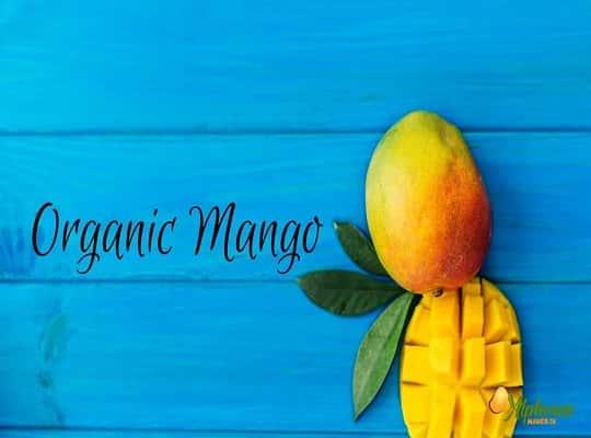 Organic Mango: The Alphonso Delight - AlphonsoMango.in