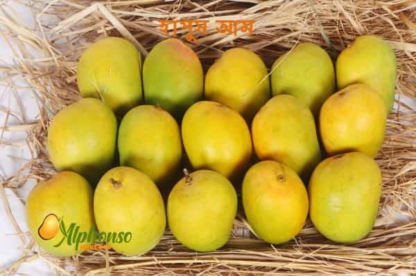 অ্যালফোনসো আম অอนไลน์ কিনুন alphonsomango.in থেকে - AlphonsoMango.in