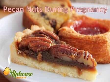 Pecan Nuts During Pregnancy - AlphonsoMango.in