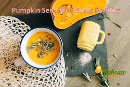 Pumpkin seeds benefits for female fertility - AlphonsoMango.in