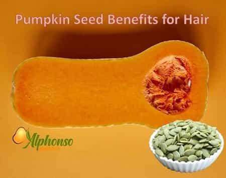 Pumpkin seeds benefits for hair - AlphonsoMango.in